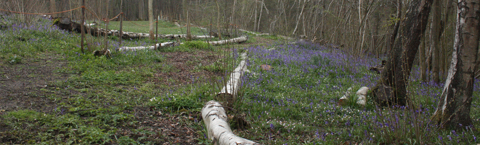 Nature Trail